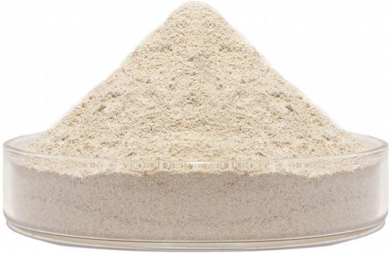 lactation cow nutrition
